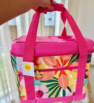 NOVO BALLO DI PICNIC AL SUO SITO BENTO PORTABLE BALLO DI PICNIC Isolamento termico e freddo GRANDE Capacità