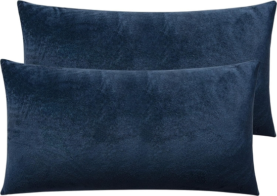NTBAY 2 Pacchetti di cuscinetti Velvet King con cerniera, super morbidi e confortevoli lussuosi cuscinetti di flannella pelosa con cerniera, 20x36