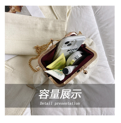 2024 NEW RETRO FAIRY SOLID COLOR PETIT BAG BLANCO BORSA DI MANO PERLA BORSA DI DONNE INFERNO NETTO IN Semplice BORSA di corpo trasversale
