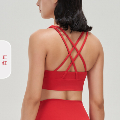 Doppie parti spazzolato croce schiena sport intimo anti-urto push-up yoga sport bra vestito da fitness
