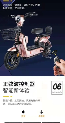 VEICOLO ELETTRICO NUOVO STANDARDO NAZIONALE VEICOLO ELETTRICO ESPORTO MODELLA DURABILE PORTABLE Bicicletta elettrica a due ruote