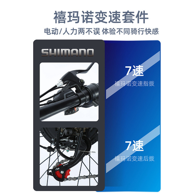 Elettronica Nuova bicicletta elettrica mountain bike adulto retro off-road velocità variabile amplificatore bicicletta elettrica