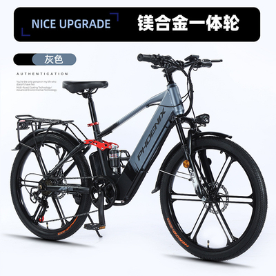 Elettronica Nuova bicicletta elettrica mountain bike adulto retro off-road velocità variabile amplificatore bicicletta elettrica