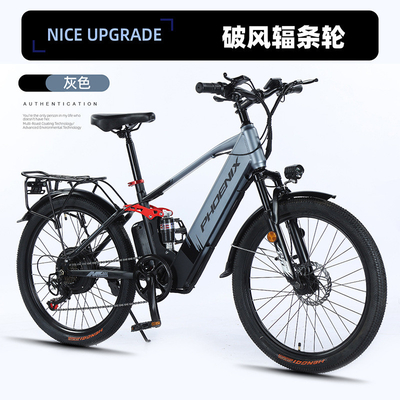 Elettronica Nuova bicicletta elettrica mountain bike adulto retro off-road velocità variabile amplificatore bicicletta elettrica