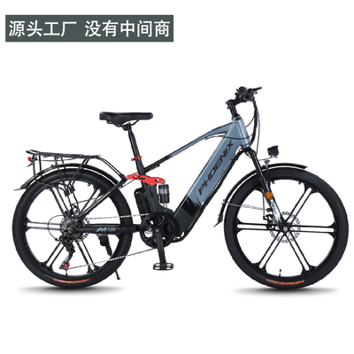 Elettronica Nuova bicicletta elettrica mountain bike adulto retro off-road velocità variabile amplificatore bicicletta elettrica