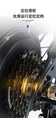 Elettronica Nuova bicicletta elettrica mountain bike adulto retro off-road velocità variabile amplificatore bicicletta elettrica