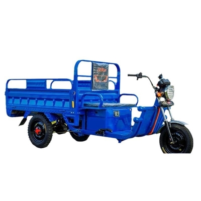 TRICICLICO ELETTRICO Camion carico WANG NUOVO STANDARD NAZIONALE CAR EXPRESS CAR STALL TRICYCLE VEICOLO AGRICOLTORE GRATUITO