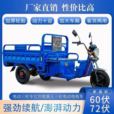 TRICICLICO ELETTRICO Camion carico WANG NUOVO STANDARD NAZIONALE CAR EXPRESS CAR STALL TRICYCLE VEICOLO AGRICOLTORE GRATUITO
