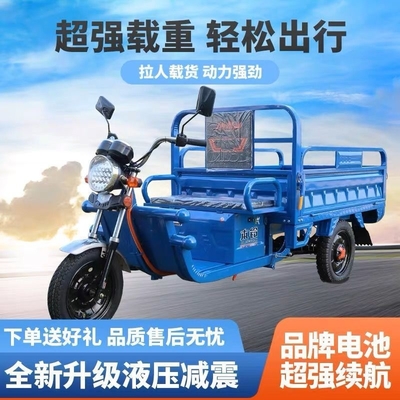 TRICICLICO ELETTRICO Camion carico WANG NUOVO STANDARD NAZIONALE CAR EXPRESS CAR STALL TRICYCLE VEICOLO AGRICOLTORE GRATUITO