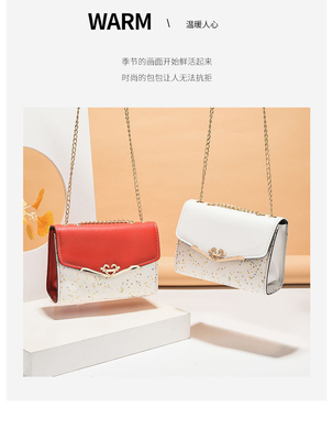 2024 NUOVA BORSA DI DONNE DIAGONALE Moda versione coreana della borsa di tasca femminile