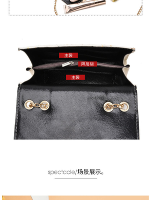 2024 NUOVA BORSA DI DONNE DIAGONALE Moda versione coreana della borsa di tasca femminile