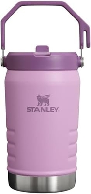 IceFlow Acciaio inossidabile Tumbler con paglia, Vasca idraulica isolata per casa, ufficio o auto, tazza riutilizzabile
