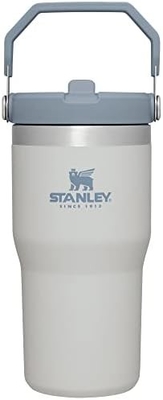 IceFlow Acciaio inossidabile Tumbler con paglia, Vasca idraulica isolata per casa, ufficio o auto, tazza riutilizzabile