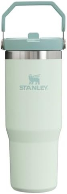 IceFlow Acciaio inossidabile Tumbler con paglia, Vasca idraulica isolata per casa, ufficio o auto, tazza riutilizzabile