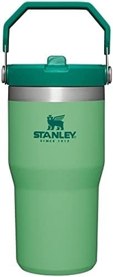 IceFlow Acciaio inossidabile Tumbler con paglia, Vasca idraulica isolata per casa, ufficio o auto, tazza riutilizzabile