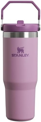 IceFlow Acciaio inossidabile Tumbler con paglia, Vasca idraulica isolata per casa, ufficio o auto, tazza riutilizzabile