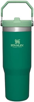 IceFlow Acciaio inossidabile Tumbler con paglia, Vasca idraulica isolata per casa, ufficio o auto, tazza riutilizzabile