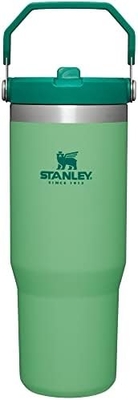 IceFlow Acciaio inossidabile Tumbler con paglia, Vasca idraulica isolata per casa, ufficio o auto, tazza riutilizzabile