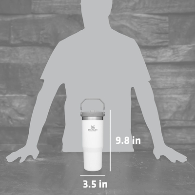 IceFlow Acciaio inossidabile Tumbler con paglia, Vasca idraulica isolata per casa, ufficio o auto, tazza riutilizzabile