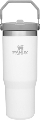 IceFlow Acciaio inossidabile Tumbler con paglia, Vasca idraulica isolata per casa, ufficio o auto, tazza riutilizzabile