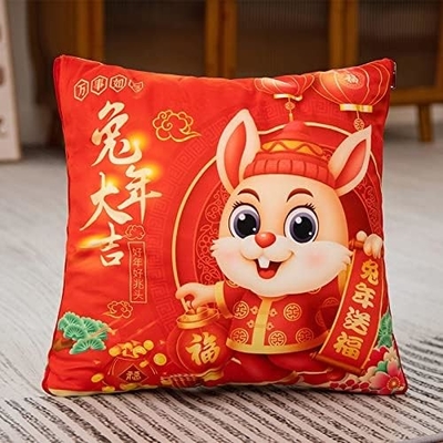 Mascotte dell'anno del coniglio, Big Red Pillow, Quilt dell'anno del coniglio 40*40cm