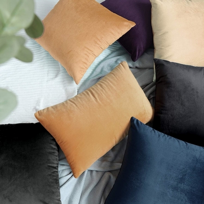 NTBAY 2 Pacchetti di cuscinetti Velvet King con cerniera, super morbidi e confortevoli lussuosi cuscinetti di flannella pelosa con cerniera, 20x36