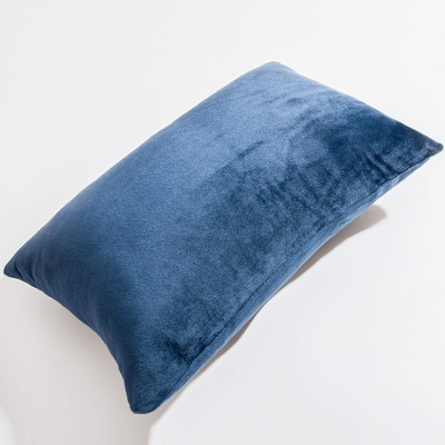 NTBAY 2 Pacchetti di cuscinetti Velvet King con cerniera, super morbidi e confortevoli lussuosi cuscinetti di flannella pelosa con cerniera, 20x36