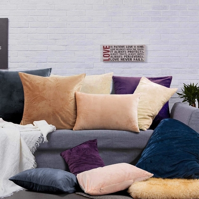 NTBAY 2 Pacchetti di cuscinetti Velvet King con cerniera, super morbidi e confortevoli lussuosi cuscinetti di flannella pelosa con cerniera, 20x36