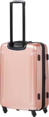 Moonlight Hardside Bagaglio espandibile con ruote a rotazione, oro rosa, di dimensioni medie 24 pollici