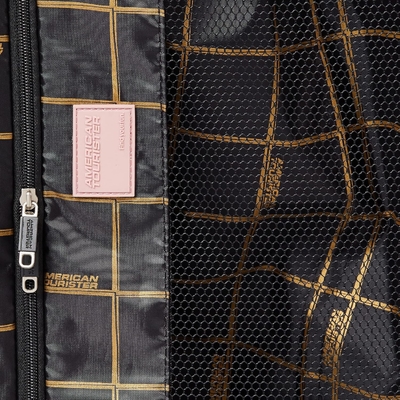 Moonlight Hardside Bagaglio espandibile con ruote a rotazione, oro rosa, di dimensioni medie 24 pollici