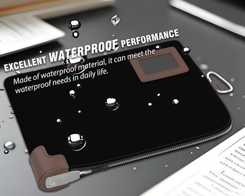 Borsa portavalori, Borsa notarile con serratura, 2 chiavi, Custodia impermeabile per documenti, Portafoglio portamonete con cerniera, 11,7 x 8,3 pollici, Sacchetti per depositi e portafoglio da viaggio per proteggere passaporto, contanti, assegni, carte di credito